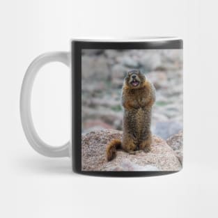 Get Off My Rocks! Mug